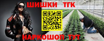 дурь Шебекино