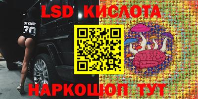 дурь Шебекино